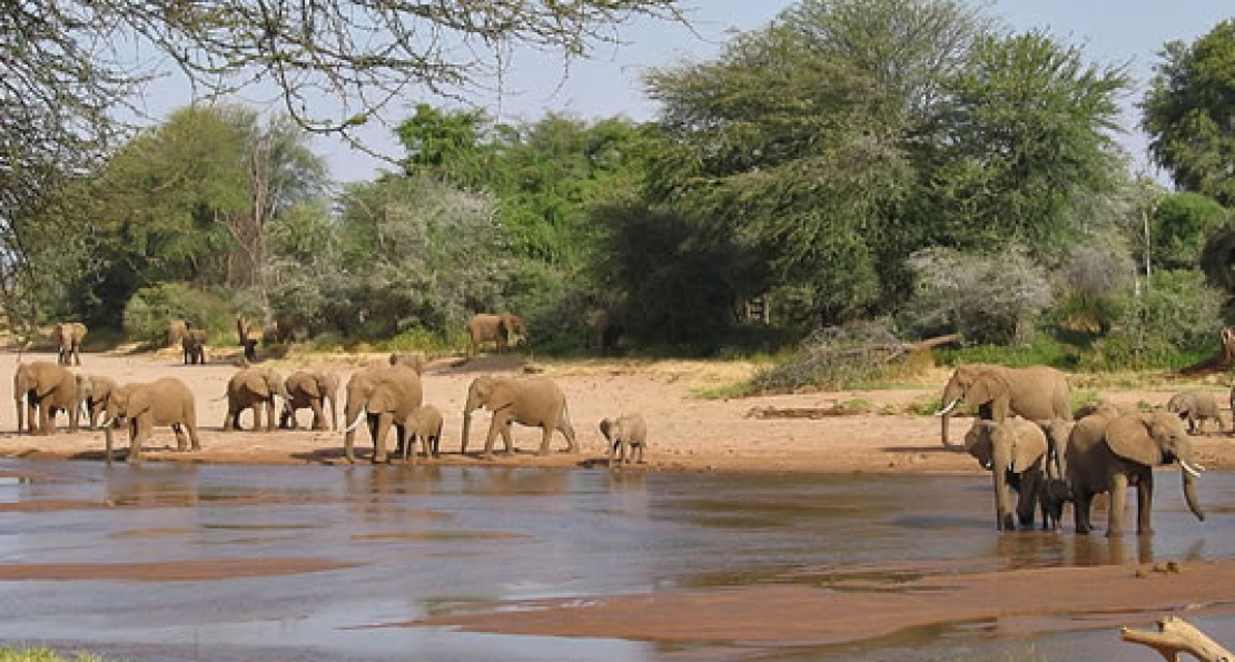 9 Days Wonders of Kenya Wilderness 