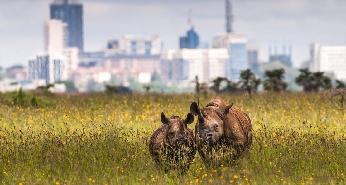 Nairobi National park