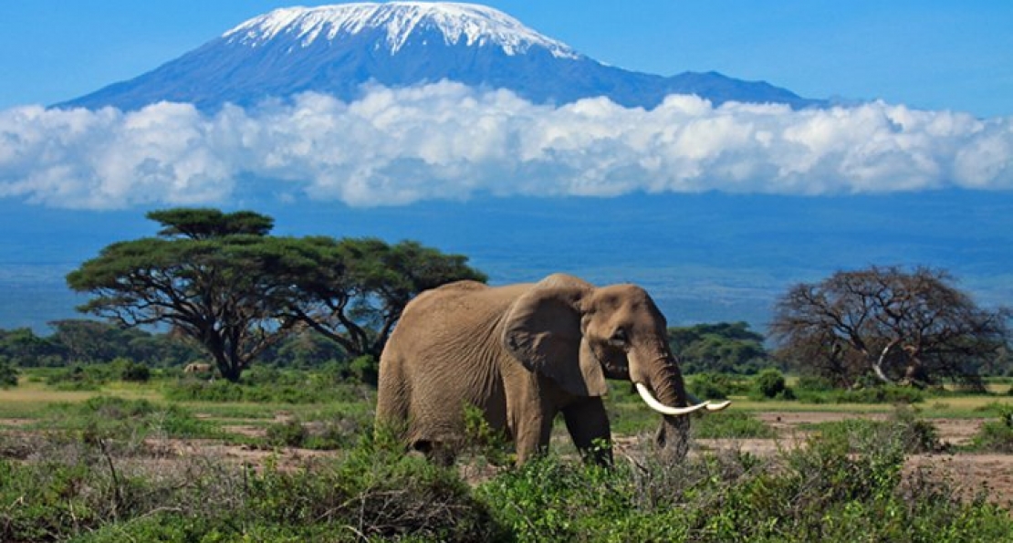 Climbing Kilimanjaro