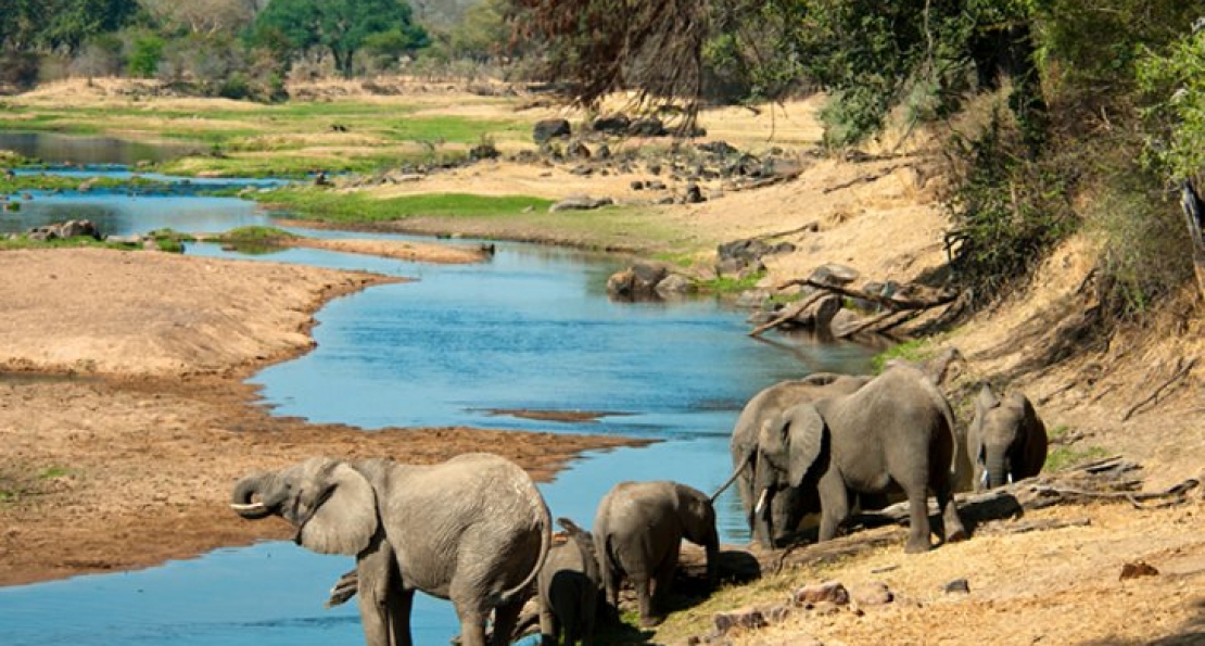 Ruaha National Park 